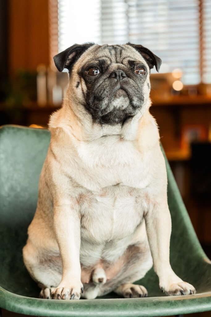 スタッフ紹介かばやき