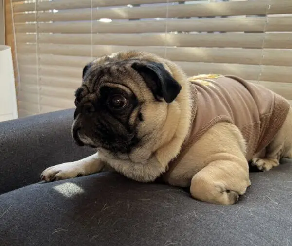 【季節外れの絶景も思い出に】かばやきくんと歩く、秋のひたち海浜公園